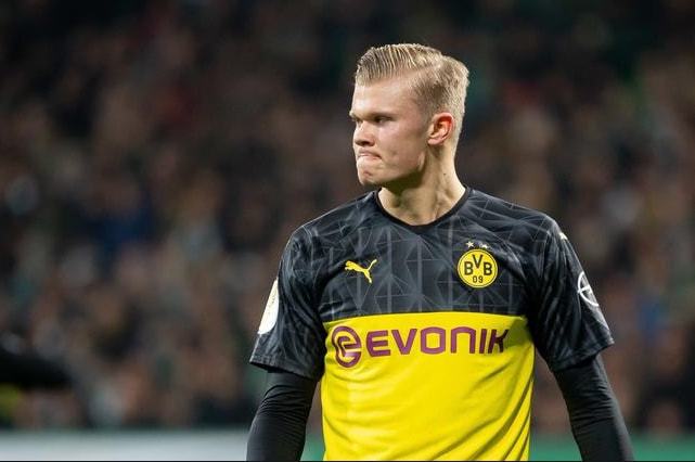 年轻车手的 年轻车手的