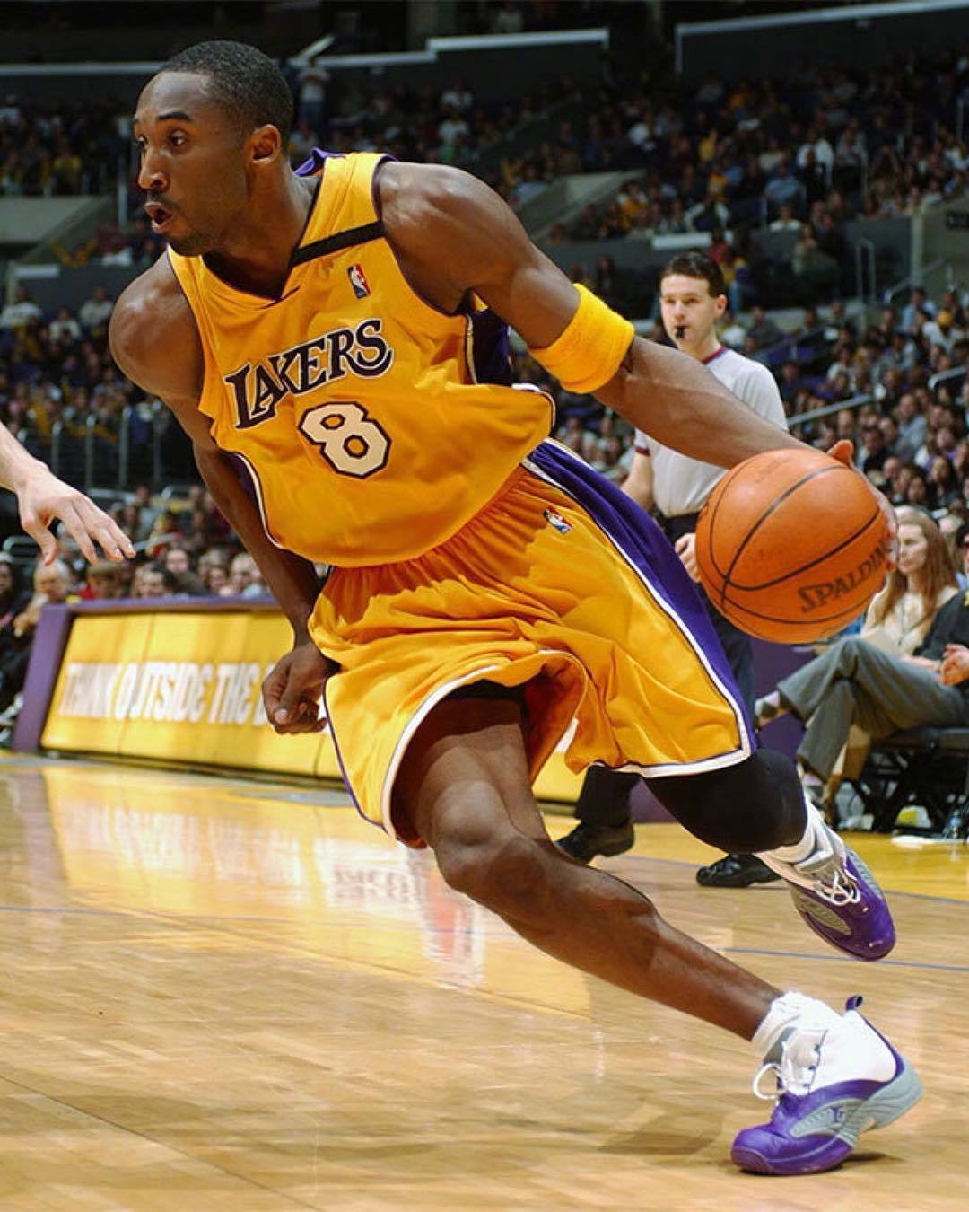 一支成熟的 一支成熟的